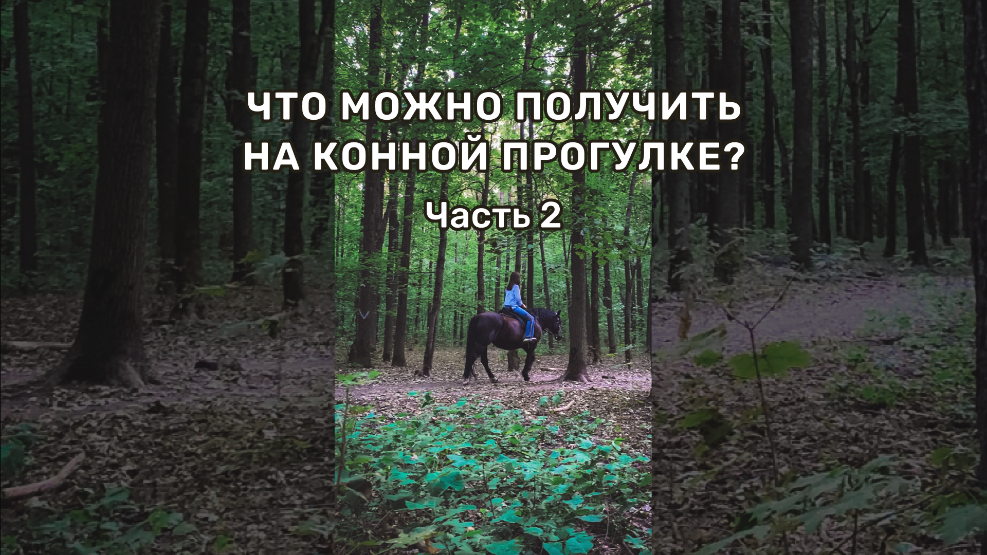 Что можно получить на конной прогулке? Часть 2