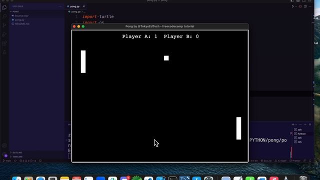 DEMO: Python Retro Pong Game смотреть онлайн