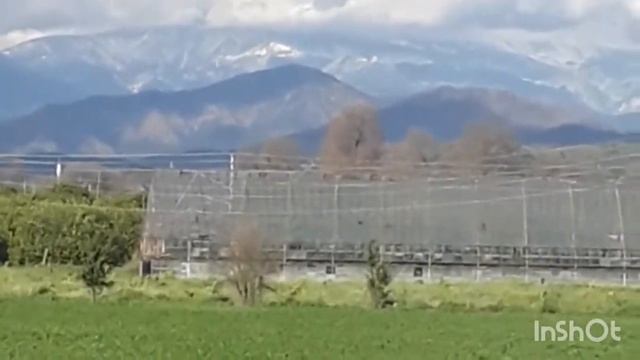 "Свищет ветер, серебряный ветер..." песня на стихи С.А. Есенина. смотреть онлайн