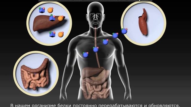 Кетостерил