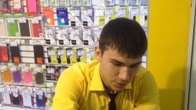 Мастерство и Жизненная Гармония