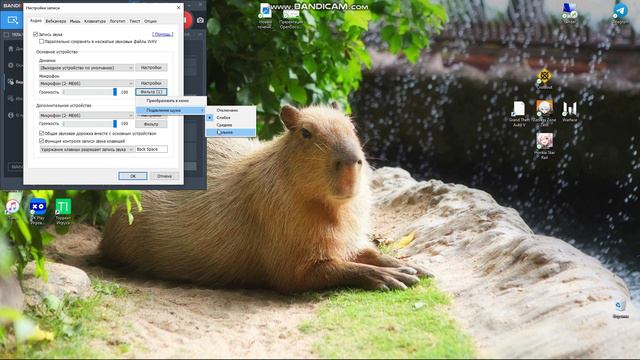 как записывать видео с микрофоном в Bandicam?