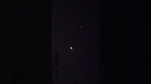 #moonnightreels# смотреть онлайн