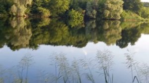 Рыбалка Курск Сейм Ловля карпа