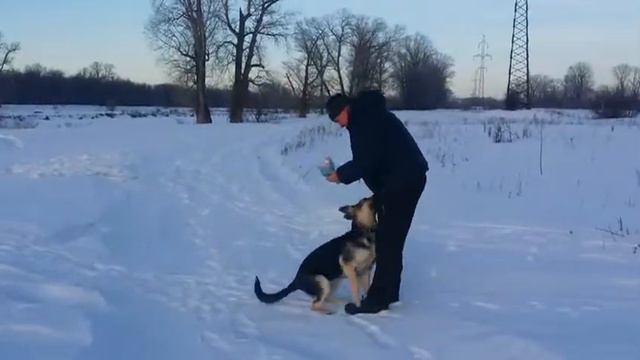 Элита Урала Офелия 5,5 месяцев