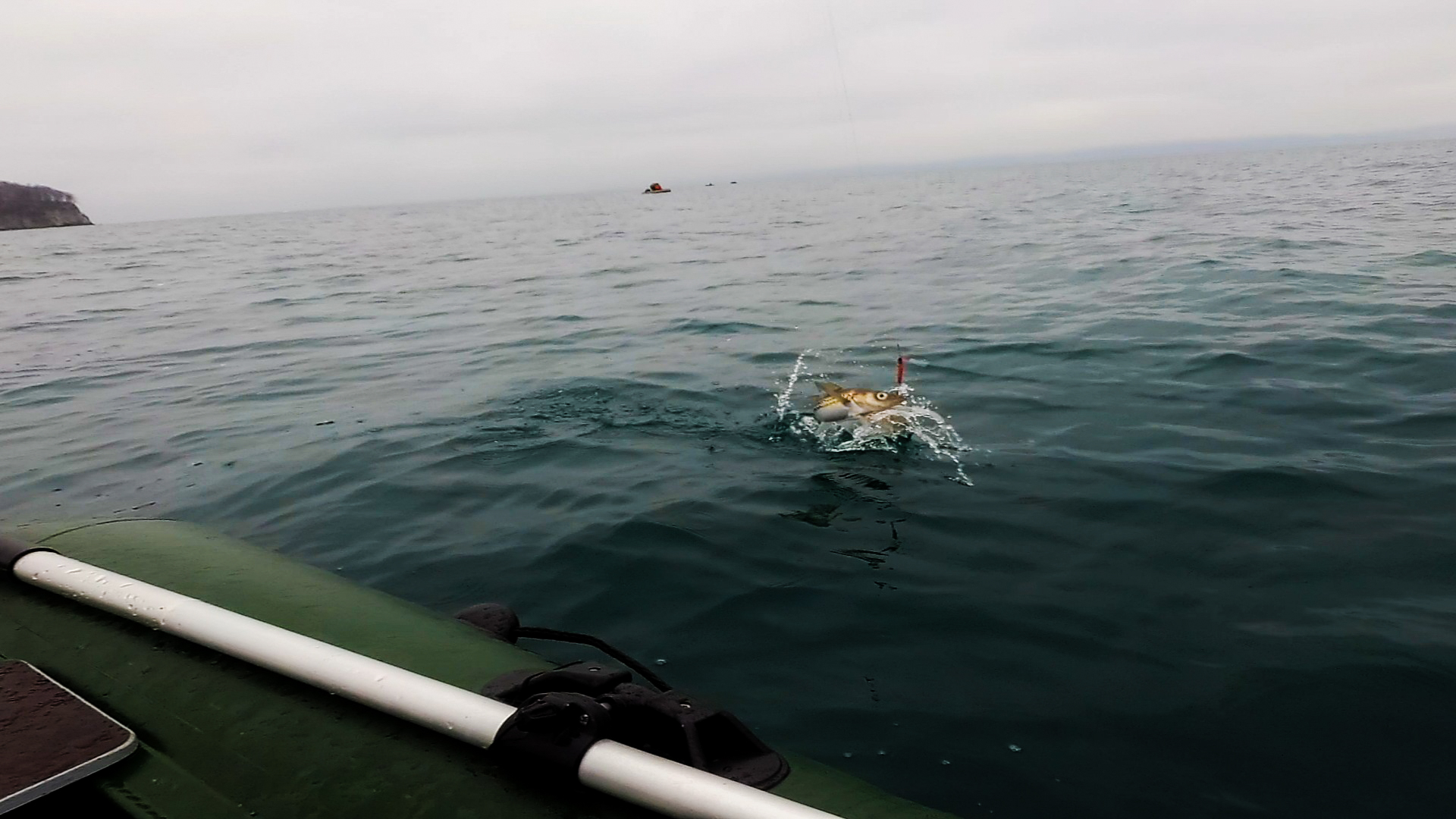 Морская рыбалка с лодки на спиннинг. смотреть онлайн