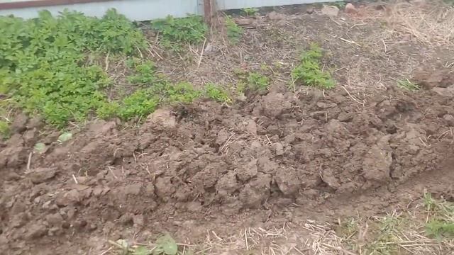 Первая вспашка самодельным мотоблоком. смотреть онлайн