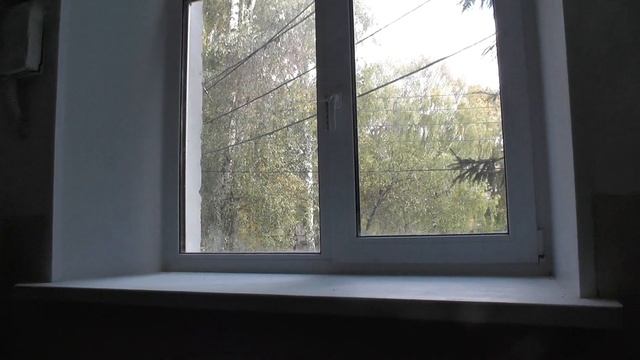 Декоративный ремонт подъездов на Ванеева 100 смотреть онлайн