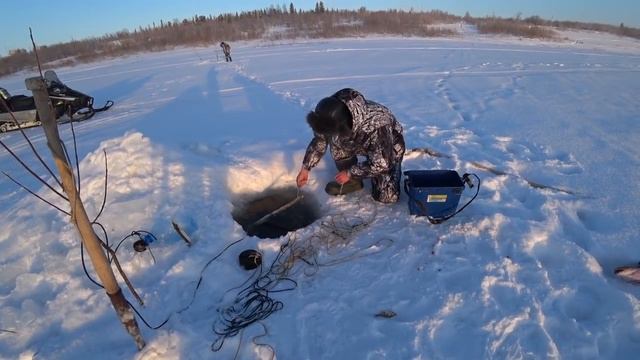Налим на перемёт и донки. Заезд к Лёхе. смотреть онлайн