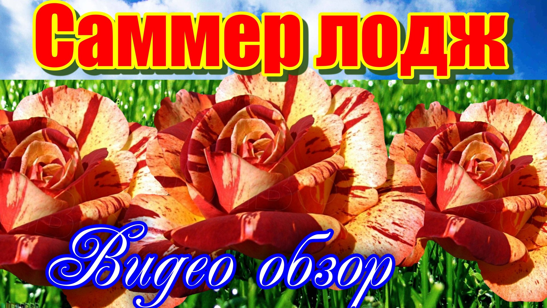 Саммер лодж (Шраб) - Summer Lodge.(Orard Франция, 2006) смотреть онлайн