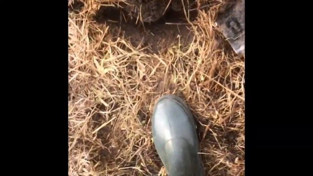 Не Удачный Коп ( смотреть онлайн