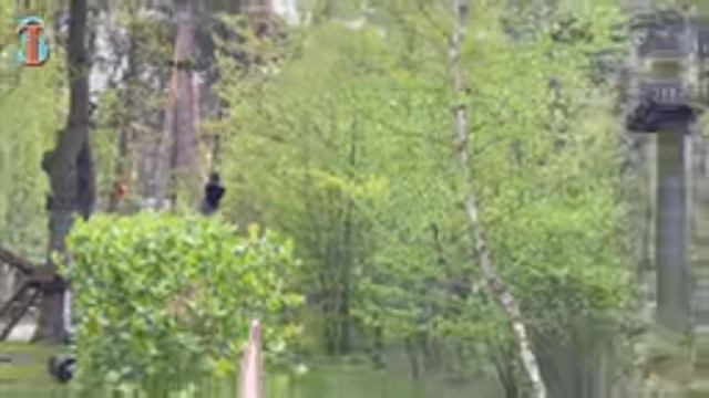 злой кипер в парке смотреть онлайн