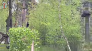 злой кипер в парке