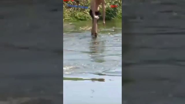 Сходили на раков