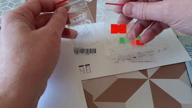 Семена колеуса, тидей и глоксиний. Обзор. смотреть онлайн