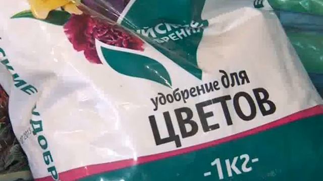 Как Правильно Подобрать Семена / Флора Тверь смотреть онлайн