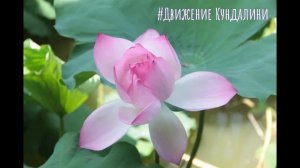 Курс "Движение Кундалини" Первое занятие