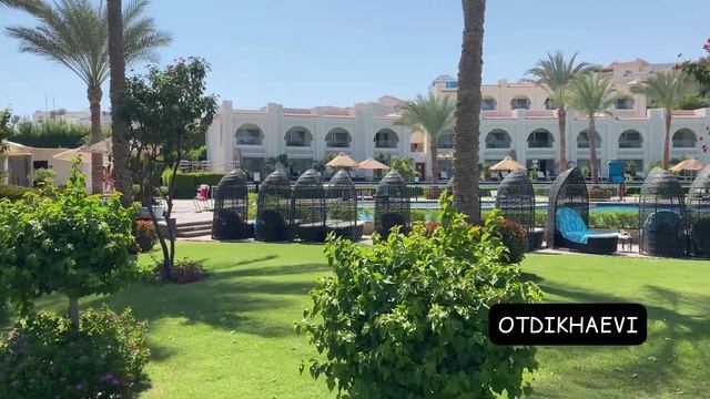 Sunrise Montemare 5*, Египет, Шарм ель Шейх - свежий обзор, сентябрь 2021 смотреть онлайн