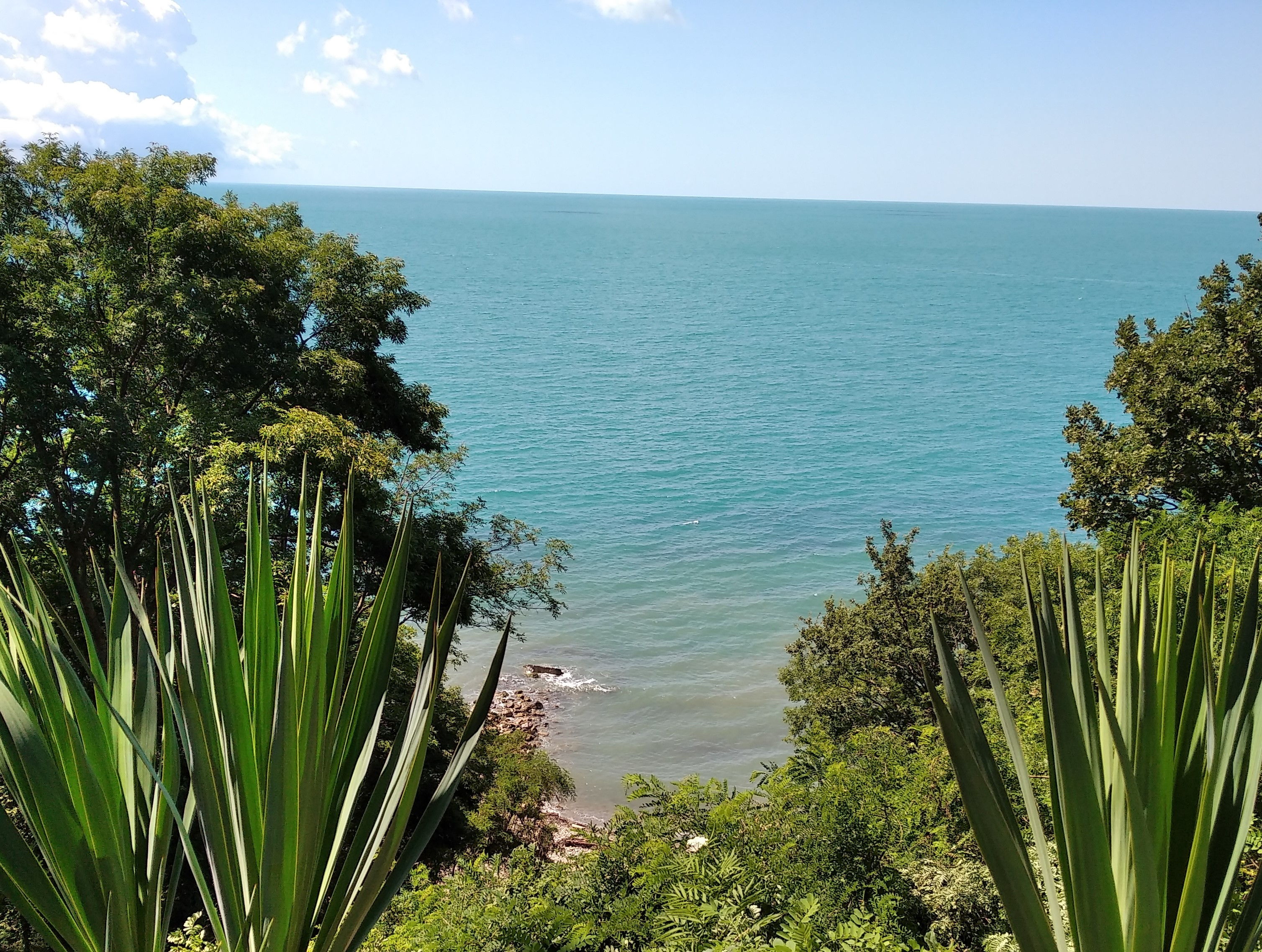 Роби…Роби…Робинзон! Робинзончик (Сочи 2022) смотреть онлайн