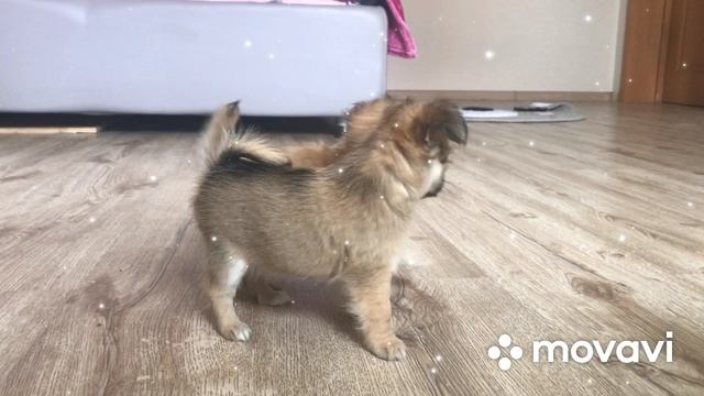 2022-08-22 смотреть онлайн