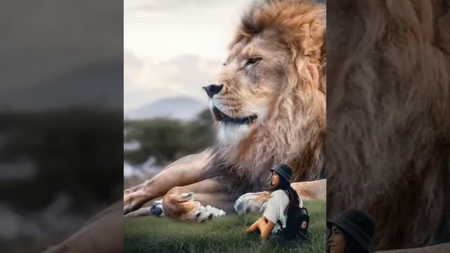 Табигат смотреть онлайн