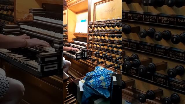 Psalm 42 - Onverwachts achter de klavieren van het orgel in de Bovenkerk in Kampen! смотреть онлайн