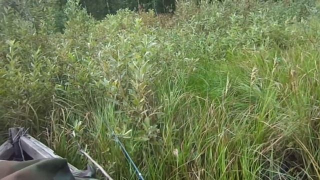 Рыбалка на спиннинг/Щука ушла/Река/Собака в воде/Лодка. смотреть онлайн