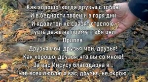 Друзья мои/Елена Ваймер