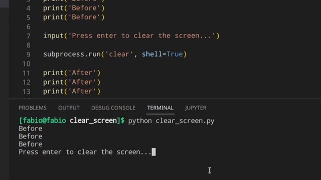 Clear Screen in Python | How to Clear Terminal/Console in Python смотреть онлайн