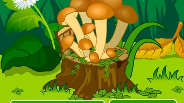 Смотреть бесплатно развивающий мультик для детей учим грибы новое 2016 - 2016 Mushrooms