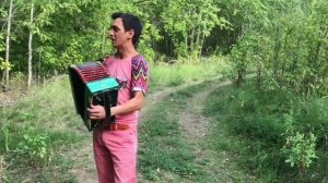 Красиво поёт под гармонь