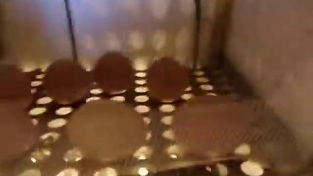 Самодельный инкубатор . Вывод кур . смотреть онлайн