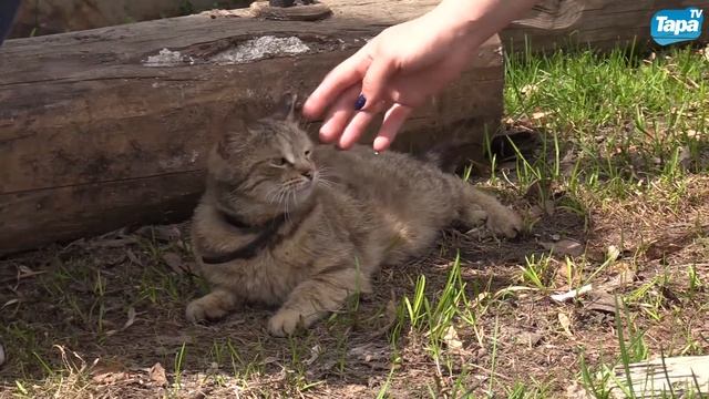 Областной пленэр 16 05 2022 смотреть онлайн