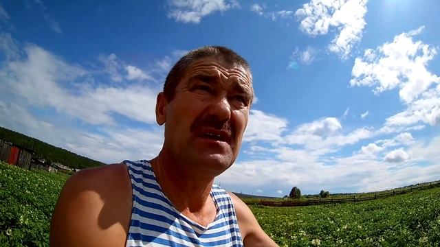 Борюсь с колорадским жуком Разговор про покос Фото моего мтз смотреть онлайн