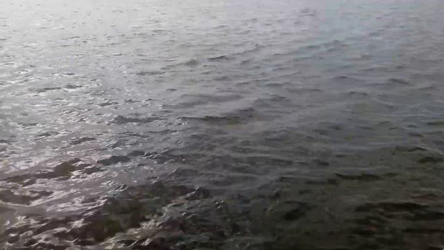 Осенняя рыбалка на реке Днепр в Киеве.🐠🐠🐠 смотреть онлайн