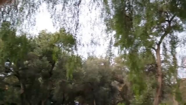 ЗНАЕТЕ ЛИ ВЫ КАК РАСТЕТ ЧЕРНЫЙ ПЕРЕЦ? Австралия смотреть онлайн