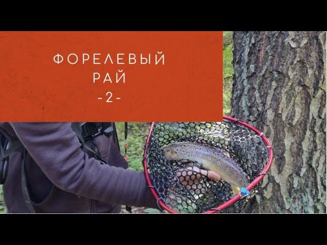#27 #форель #ультралайт Форелевый рай. Выпуск №2 смотреть онлайн