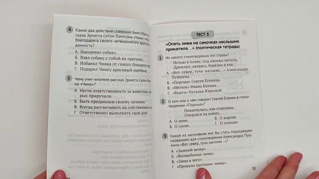 Литературное чтение. 4 класс. Тесты смотреть онлайн