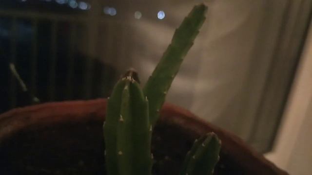 На канале 100 видео и честь это держите румтур квартиры по комнат смотреть онлайн