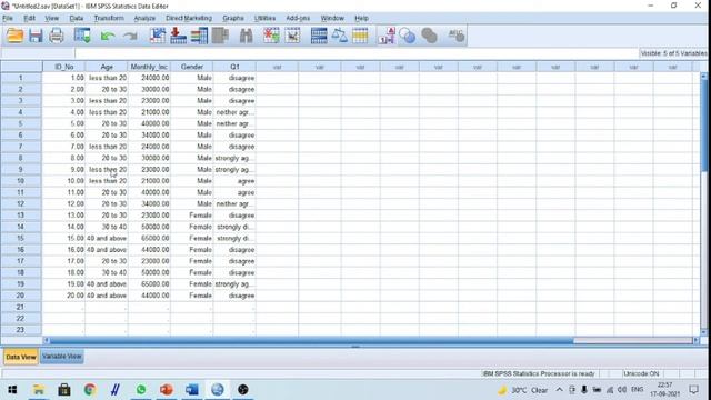 Types of Measurement in SPSS: Nominal, Ordinal and Scale смотреть онлайн