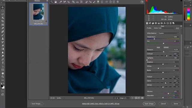 Cara Membuka dan Edit file RAW CR2 ke PNG, Save dan Load Color Setting XMP, Photoshop 2020 смотреть онлайн