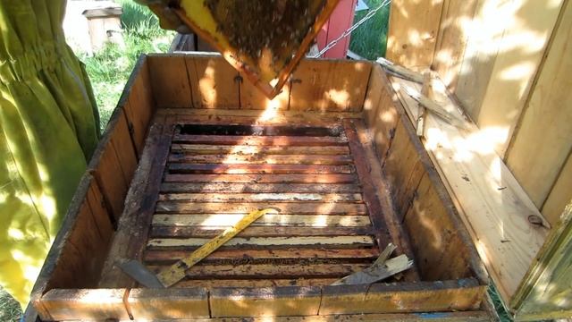 Учебник по Творческому Самовыражению