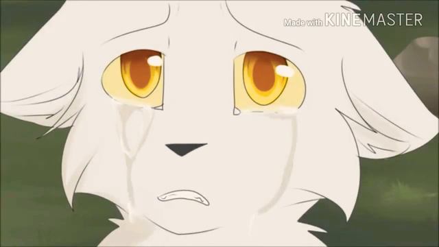 vКоты-Воители ( КВ ) клип "Встань Восстань"v смотреть онлайн