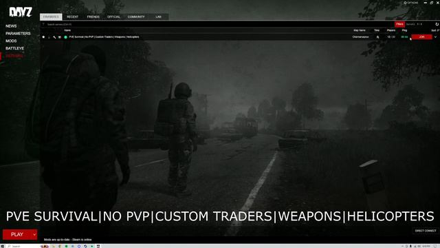 DayZ Name Change-DayZ Steam Launcher