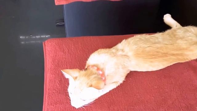 Хороший тайский массаж в Хуа-Хине, в Таиланде. смотреть онлайн