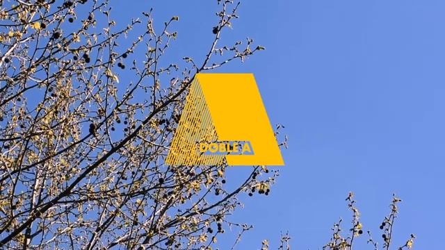 La radio online de tango de Fractura Expuesta смотреть онлайн