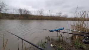 Рыбалка на канале ЮМС. Караси на опарыша. Краснодарский край