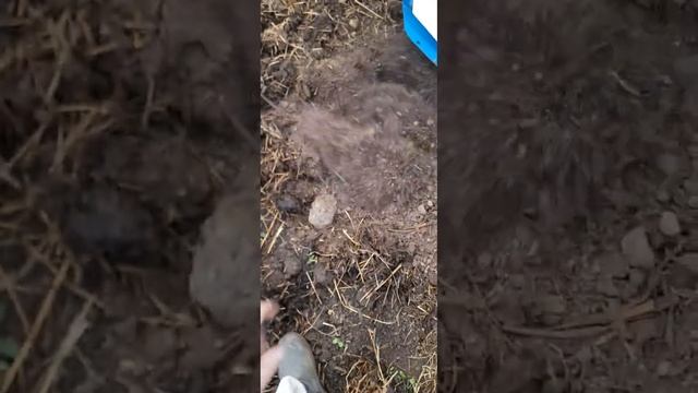 нева мб 23 сам пашет с доп фрезами смотреть онлайн