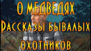 О медведях, рассказы бывалых охотников ( д.Толя, Иваныч )