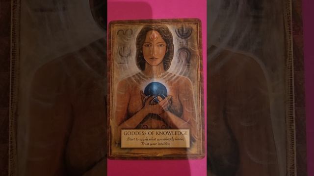 10/18/22 love reading using oracle cards смотреть онлайн